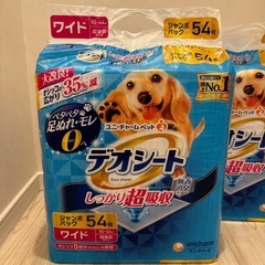 デオシートジャンボパック2袋の画像