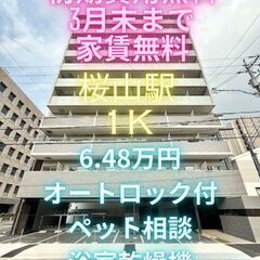 ⭐初期費用無料⭐今なら家賃3月末まで無料👍👍ペット飼育可能…