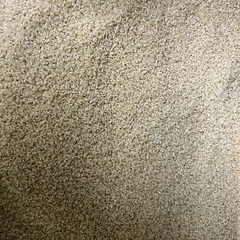 令和7年度産　新米ハツシモ　玄米30キロ　1等米級　減農薬　有機肥料の画像