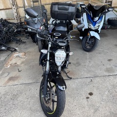 ジクサー150 ED131の画像