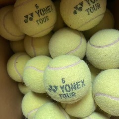テニスボール60個の画像