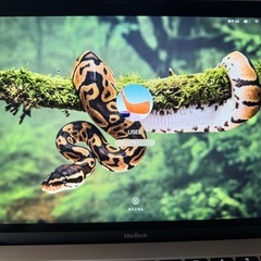 MacBookの画像