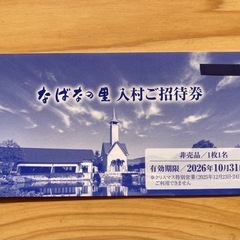 なばなの里入村券2枚セットの画像