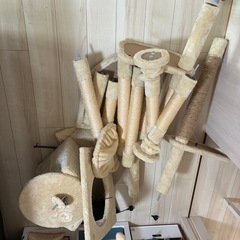 【取引中】キャットタワーの画像