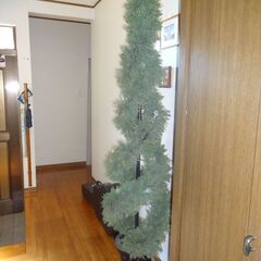 クリスマスツリーの画像