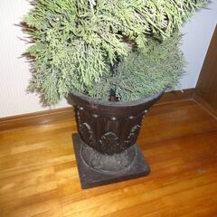 クリスマスツリーの画像