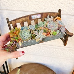 そのまま飾れる多肉植物寄せ植え17番アンティークベンチ風ハンドメイドリメイクプランターの画像