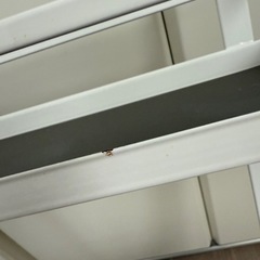 Yamazaki  山崎実業  レンジフード調味料ラックの画像