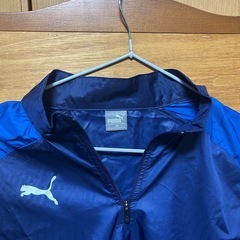 【サッカー】PUMAピステ②150の画像