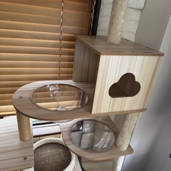 キャットタワーの画像