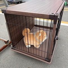 【リユースマン倉敷】ペットゲージ 木製 オシャレ 小型犬・中型犬の画像