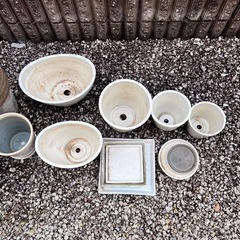 植木鉢　大量　　の画像