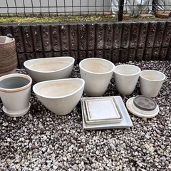 植木鉢　大量　　の画像