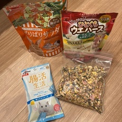 ハムスター飼育セットの画像