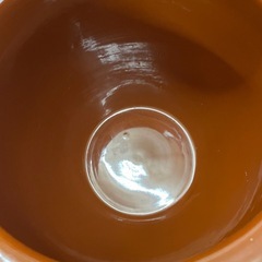 カメ15号の画像