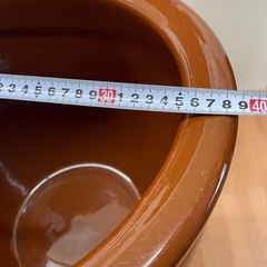 カメ15号の画像