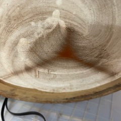 カメ15号の画像