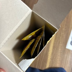 おくすりのめたね　チョコ味の画像