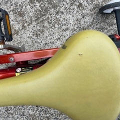 子供　いきなり自転車の画像