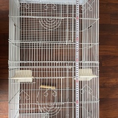小鳥 ゲージ 小動物 ハムスター  シマリス 鳥かご高さがあってインコも喜ぶ の画像