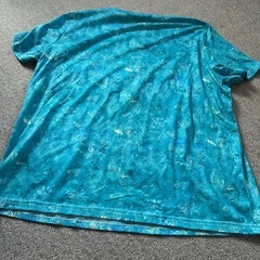 Tシャツ　レディースの画像