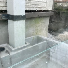 【12/7まで】フレームレス60cm水槽蓋付の画像