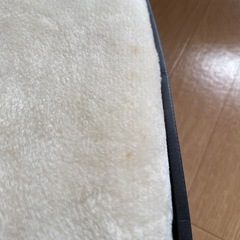 イブサンローランのボアシーツの画像