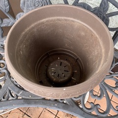 プランター差し上げますの画像