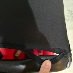 マキシコシペブルの画像