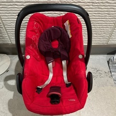 マキシコシペブルの画像