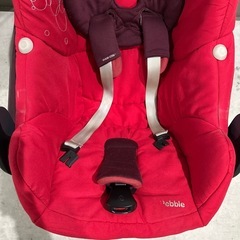 マキシコシペブルの画像