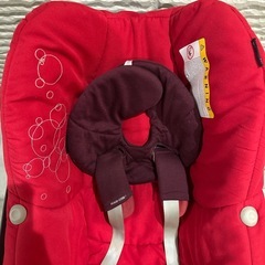 マキシコシペブルの画像