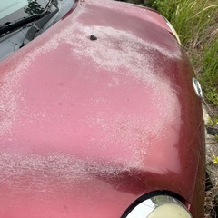 ミラジーノの画像