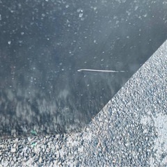 ♦MITSUBISHI ノンフロン冷凍冷蔵庫【2015年製】MR-P15Z-B1の画像