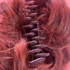 ウィッグ パッチンタイプの画像