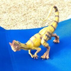 カルノタウルスの画像