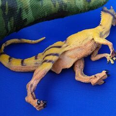 カルノタウルスの画像