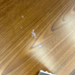 【リユ-スのサカイ広島石内店】ジモティ割！コタツテーブル/クリ-ニング済み/HG-8139/広島市 家具　佐伯区 家具　南区 家具　西区 家具　東区 家具　中区 家具　安佐南区 家具　安佐北区 家具　安芸区 家具　府中町 家具　海田町 家具　熊野町 家具　坂町 家具　廿日市市 家具			の画像