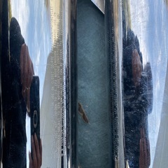 ハーレー　マフラー①の画像