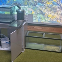 水槽セット×3の画像