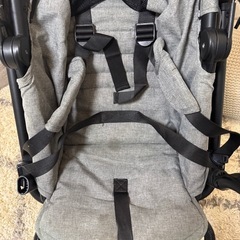 サイベックスの画像