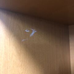 ジャングル×2和泉大型良品館 階段ラック【R361】の画像