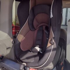 combi チャイルドシート今日中で消しますの画像