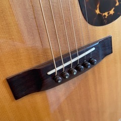 極上 1975年 Morris F-15 カスタムの画像