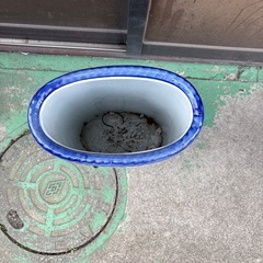 あげます！志木市傘立て　の画像