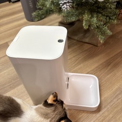 petkit p530 自動給餌器の画像