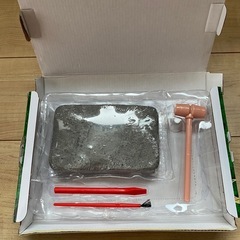 恐竜好きに　　化石発掘キットの画像