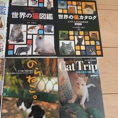 ⚠️0円出品⚠️本まとめ出品(猫系)の画像