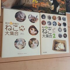 ⚠️0円出品⚠️本まとめ出品(猫系)の画像