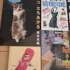 ⚠️0円出品⚠️本まとめ出品(猫系)の画像